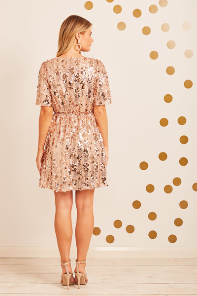 Chandelier Sequin Dress in Rose Gold ...